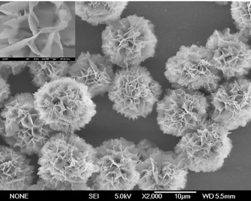 Obraz z mikroskopu elektronowego przedstawiający hybrydowy nanokwiat 
