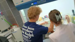 Dwie osoby wykonują doświadczenie przy dygestorium