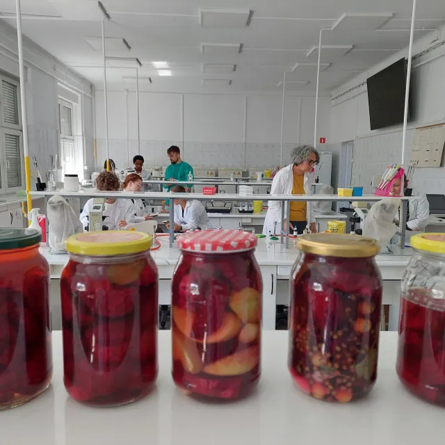Słoiki z kiszonkami, a w tle laboratorium biotechnologiczne 