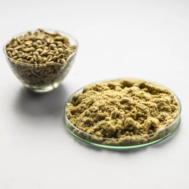 Zielona kawa: ziarna i zmielony proszek